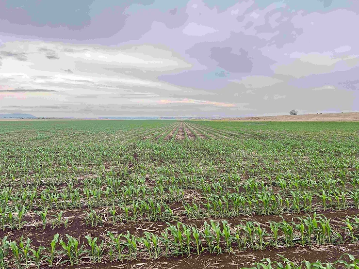 broadacre farming fertilisers