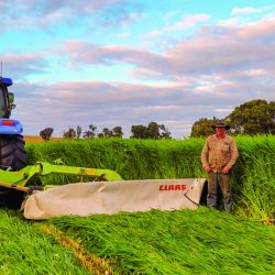 Worm Hit fertilised crops_header