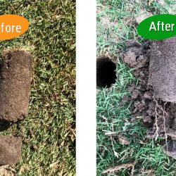 commecial trials at a golf course with Worm Hit 1