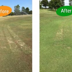 commecial trials at a golf course with Worm Hit 2