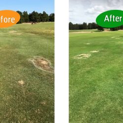commecial trials at a golf course with Worm Hit 3