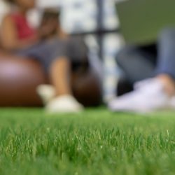 green lawn organic fertiliser worm hit 2 (1)