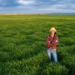 pasture crops worm hit 5